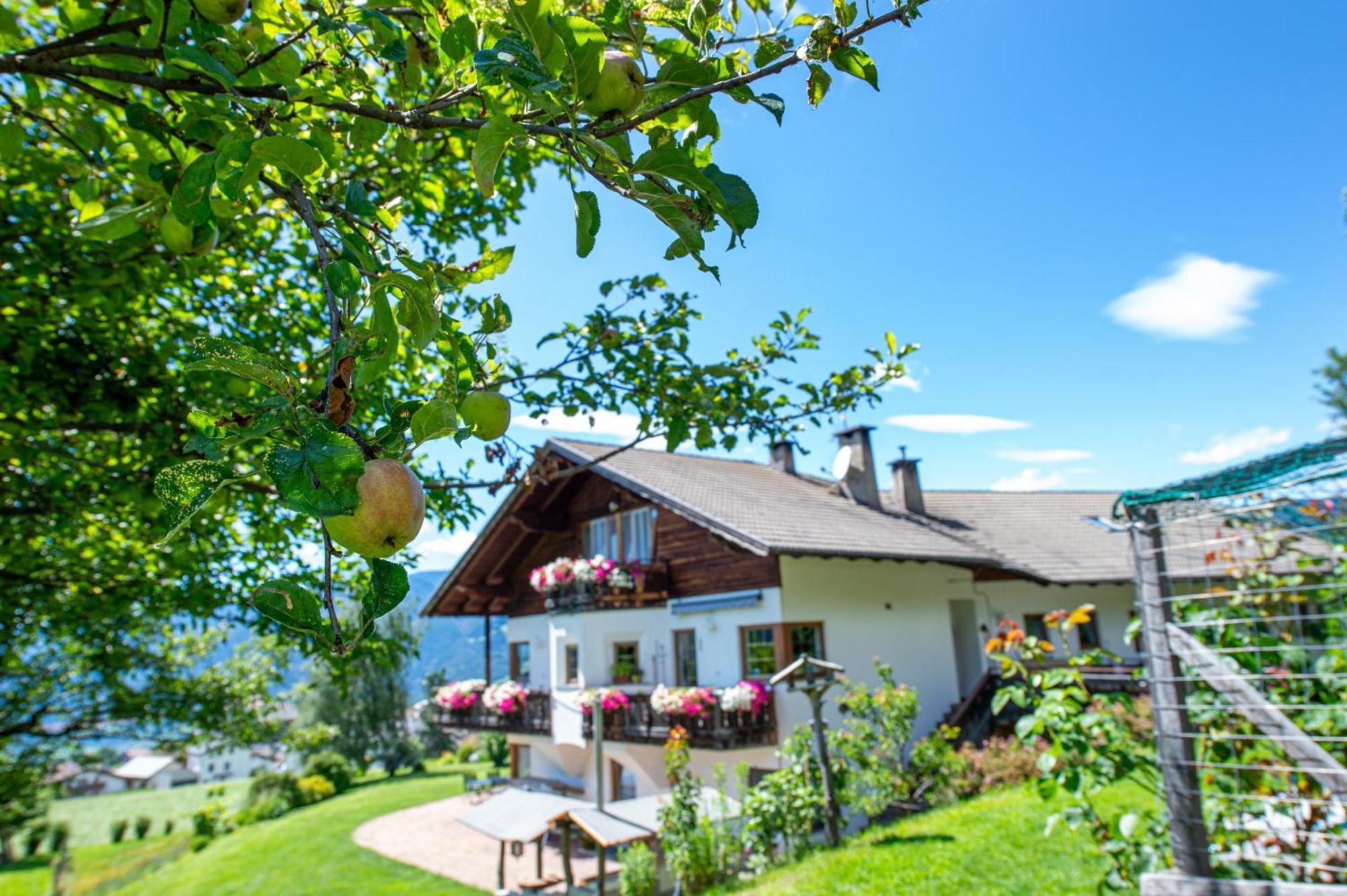 Bonichhof Hotel Laion Buitenkant foto
